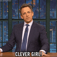 Seth Meyers GIF by Late Night with Seth Meyers