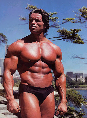 Arnold+Schwarzenegger+Body+Building+Photos+(41).jpg