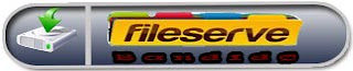 fileserve.jpg