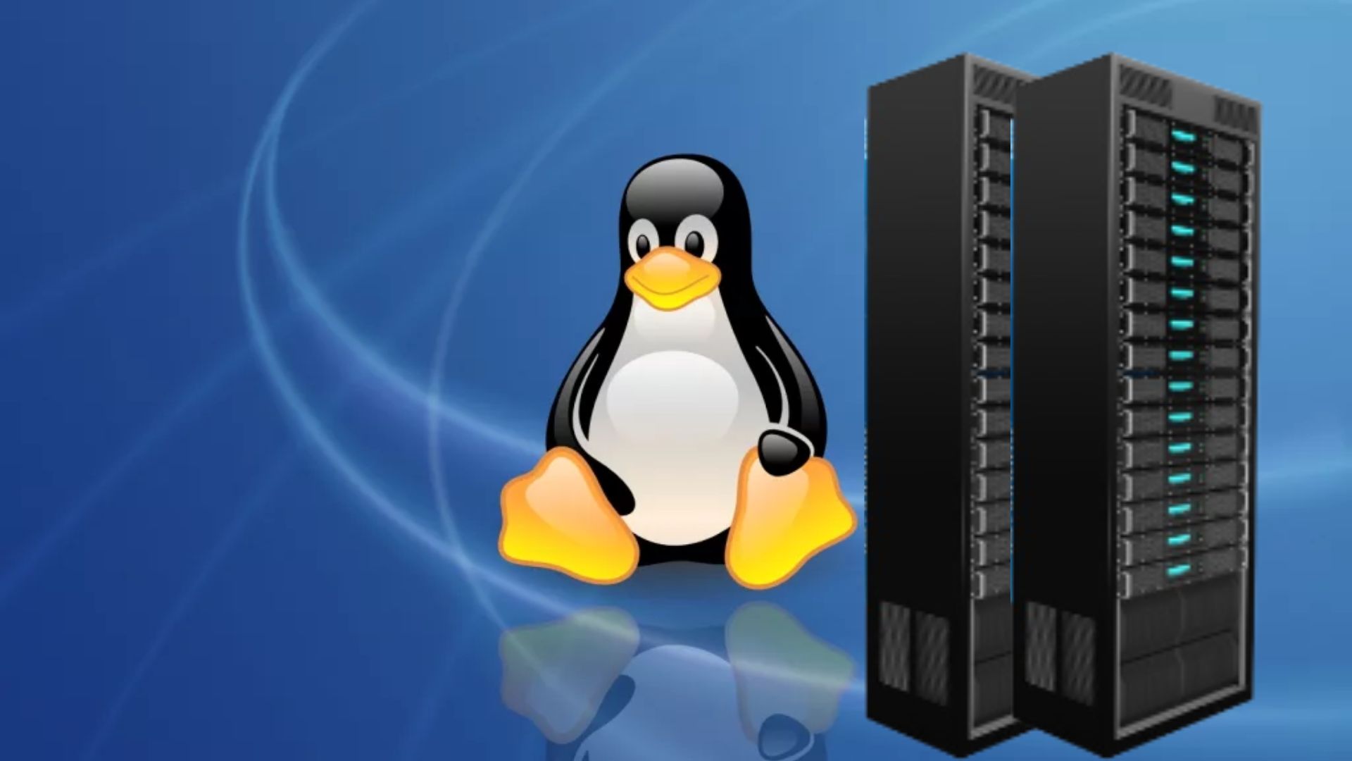 linux-vps-2.jpg