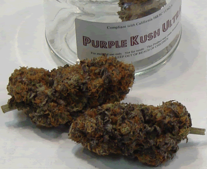 purple-kush-ultra_697x569.gif