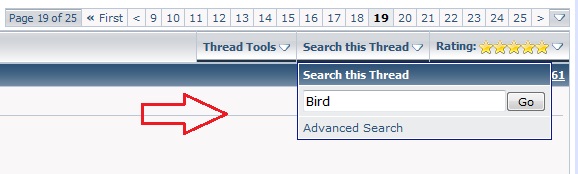 search-thread-499f425.jpg