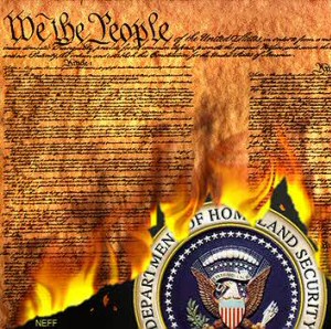 burning-constitution.jpg