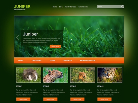 juniper_big.jpg